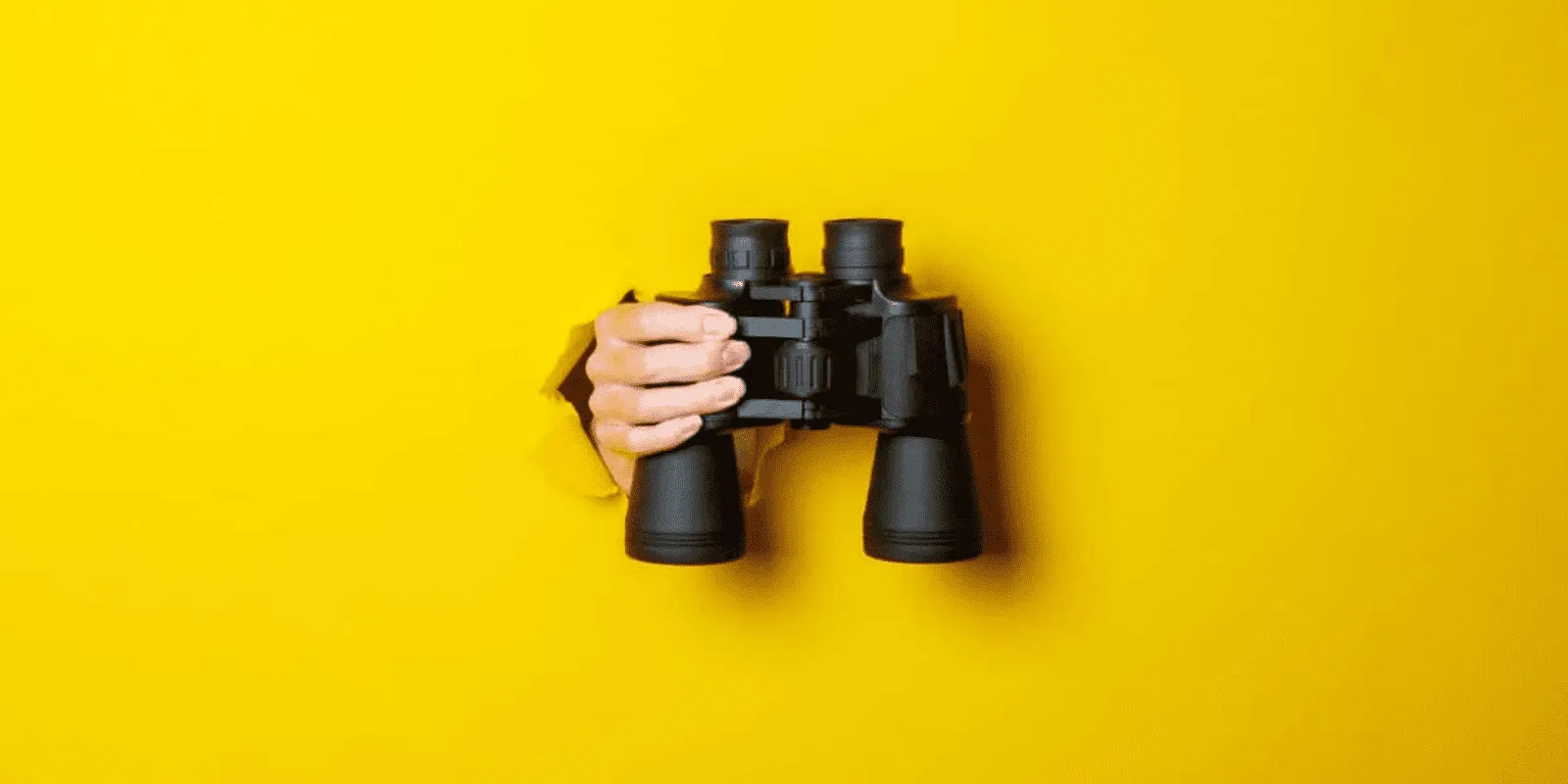 Things to Look for in a CRM