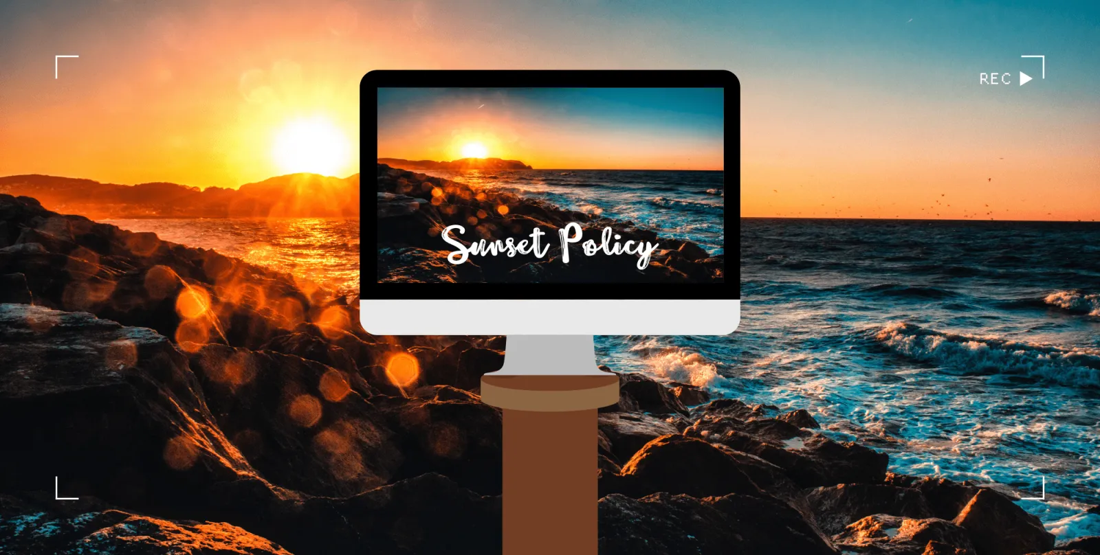 What Is a Sunset Policy?